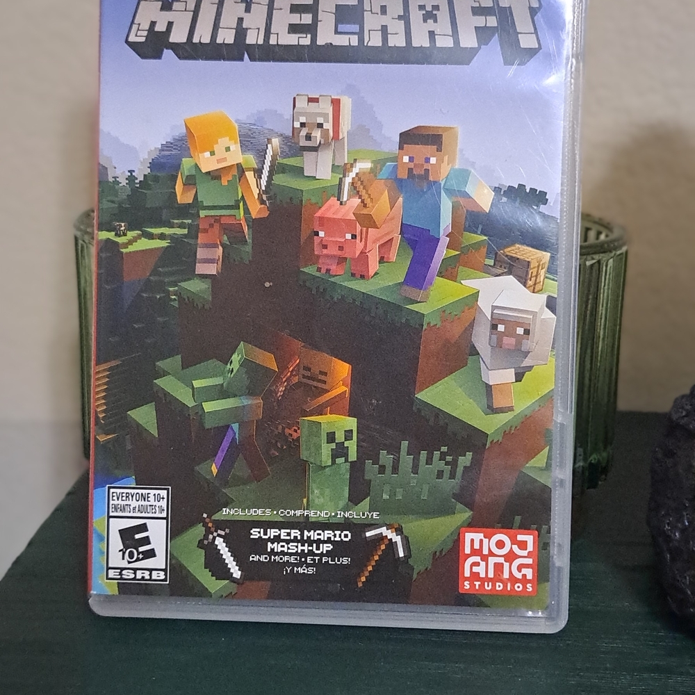 Nintendo Switch Minecraft Game